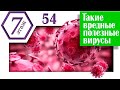 Такие вредные полезные вирусы. (Архив проекта #7этаж)