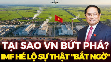 IMF CÔNG BỐ: KINH TẾ VN 2025 LẬP KỶ LỤC CHẤN ĐỘNG - HÉ LỘ SỰ THẬT BẤT NGỜ | MÃ LỰC TRIỆU ĐÔ
