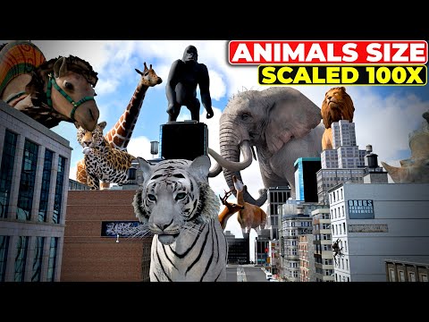 What If Animals Grew 100 Times Bigger? | Giant Animals 3D Comparison