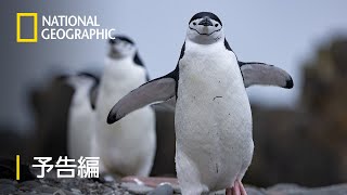ナショナルジオグラフィックwedgeDAYS National Geographic Magazine Nat Geo July 2017 (Fc29-3-B) | eBay