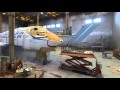Полосатый рейс. Boeing превращается в амурского тигра