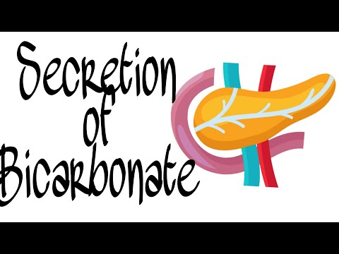 Video: Kodėl kasos sultyse yra natrio bikarbonato?