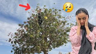 What Happened to the Family After Those Tragic Events?