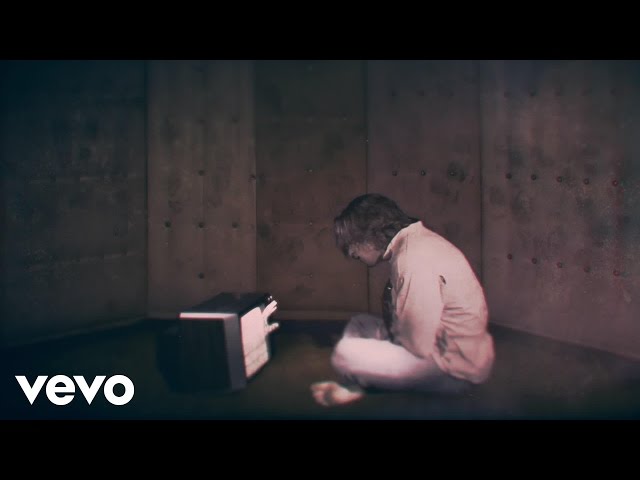 Toothgrinder - Lace & Anchor