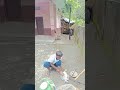 Ek Banda, Unlimited Kaam#shorts #viral #worker #hustle #trending #india #reallife #kaam #labourlife