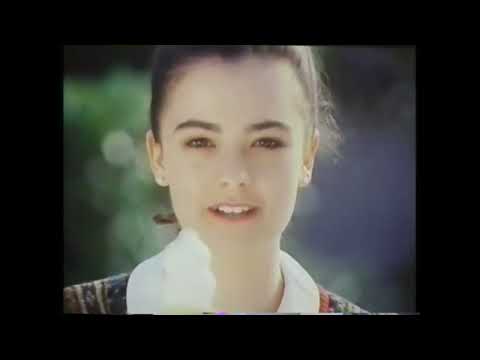 デイリークイーン CM 1991年