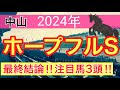 【ホープフルステークス2024】蓮の競馬予想(最終結論)
