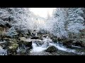 Peaceful Winter Stream | Flowing Water, Birds &amp; Mountains