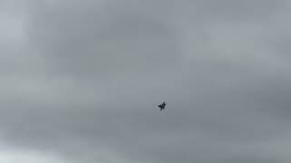 IMG 7798