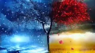 Payiz Fesline Aid Ststuslar