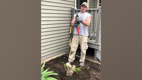 Easy Stump Removal - Small Stump - Sawzall