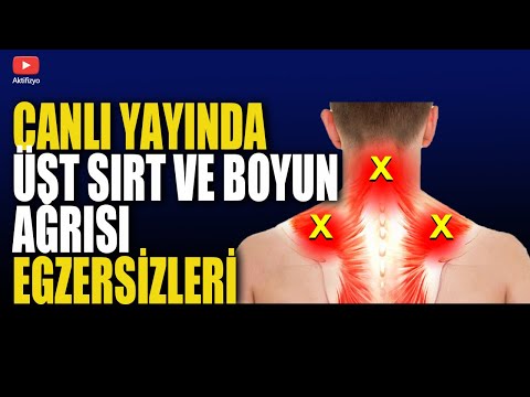 CANLI YAYINDA ÜST SIRT VE BOYUN AĞRISI EGZERSİZLERİ #aktifizyo #boyunağrısı #kulunçağrısı