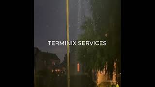 Download Lagu Termite Threat? Get Termite Protection! | Terminix MP3