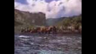 Dinosaur (2000) trailer