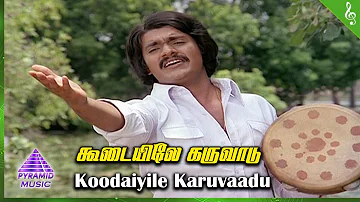 Oru Thalai Ragam Movie Songs | Koodaiyile Karuvaadu Video Song | Shankar | Roopa | T Rajendar
