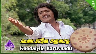 Oru Thalai Ragam Movie Songs Koodaiyile Karuvaadu Video Song Shankar Roopa T Rajendar