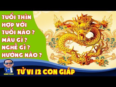 Tuổi Thìn hợp với tuổi nào, màu gì, nghề gì, hướng nào theo phong thủy | Tử vi 12 con giáp
