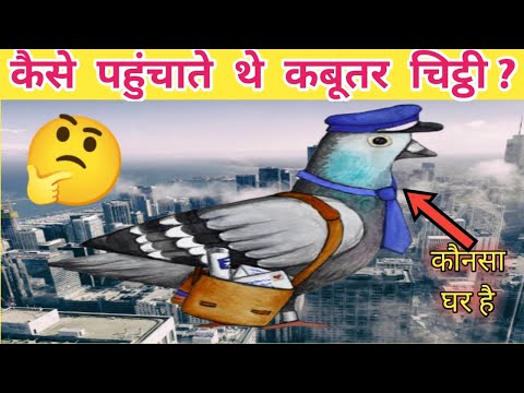 वीडियो: वाहक कबूतर संदेश कैसे ले जाते थे?