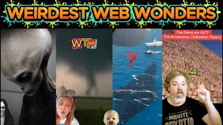 weirdest web wonders vol 403