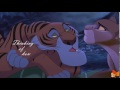 Hell No Shere Khan Kiara Hell No Shere Khan Kiara
