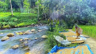 MASYA ALLAH TIDAK DI SANGKA😍 Seenak Ini Datang Ke Kampung Yang Indah Pemandangan Alam Desanya