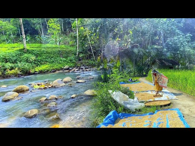 MASYA ALLAH TIDAK DI SANGKA😍 Seenak Ini Datang Ke Kampung Yang Indah Pemandangan Alam Desanya class=