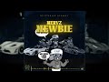 Nervz  newbie official audio