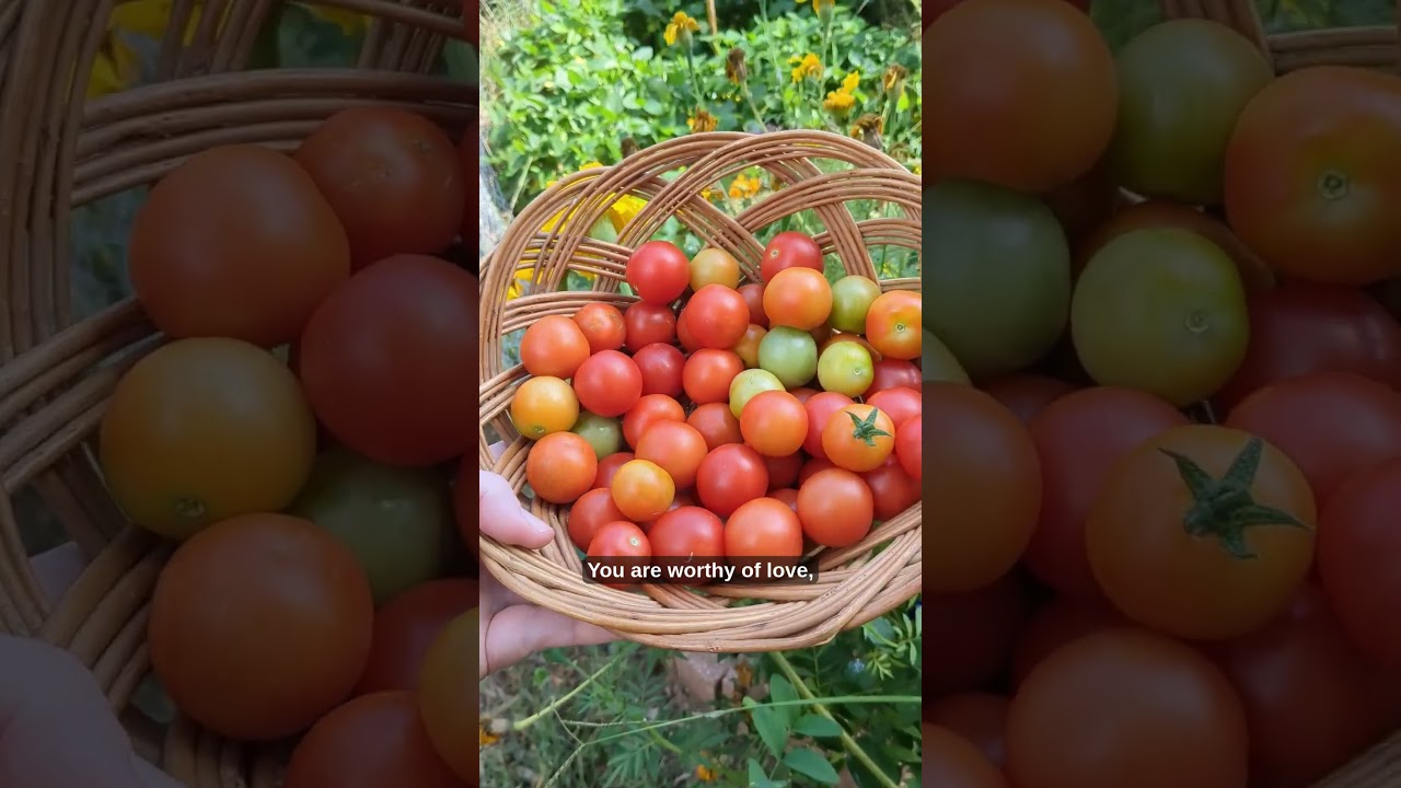 Благодарен за все, что природа дала в этом году #садоводство