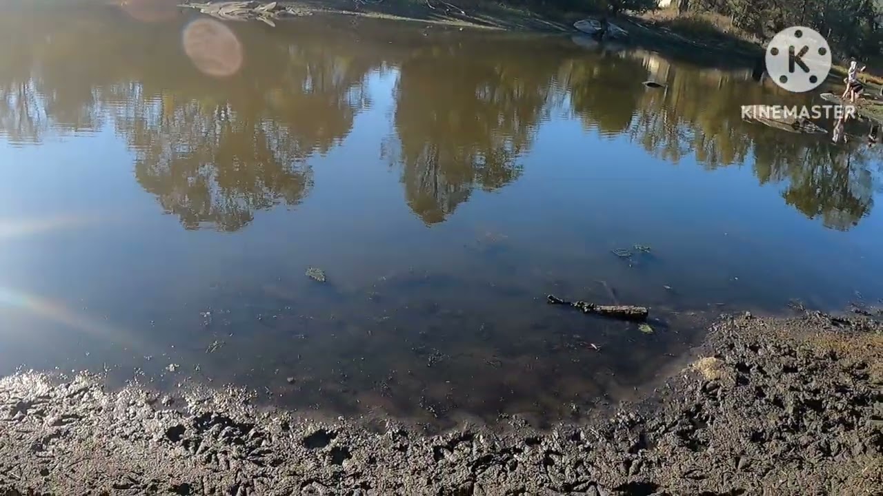 눚 가을의 요세미티 내셔널 팍 헷치 헷치 저수지와 와파마 폭포 