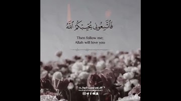 القارئ محمد شوكت || 😑✨