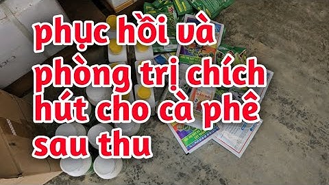 Hd624.Thuốc phục hồi cây, phòng trị chich hút cho cà phê