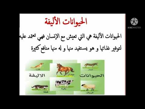 سنة ثانية ابتدائي إيقاظ علمي الحيوانات الأليفة والبرية