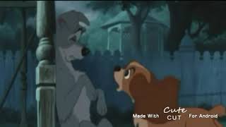 Lady and the Tramp video edit😍