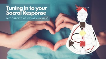 Unlock Your Sacral 🧡🐳 : Decision Making Strategies for Generators/Manifesting Generators