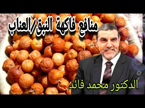 الدكتور محمد فائد اا فاكهة السدر أو العناب أو النبق وما لها من منافع
