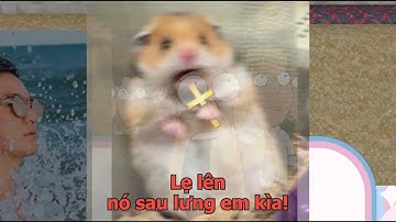 Trò Chơi GẮN KẾT Tình Bạn