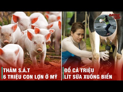 Video: Thời gian dư thừa là gì?