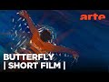 Butterfly SHORT FILM ARTE Tv Culture