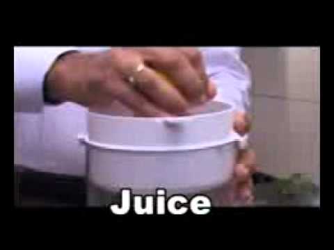Life juicer green twin gear