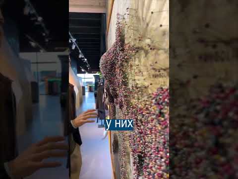 Здесь были туристы из всех стран мира