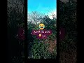 وراه قصيرة نيت 