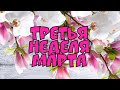 #64🌹:Третья вышивальная неделя марта "20 //ЭСТЭ //Химера// Посылка от "Пчелок"// Мини-болталка//