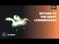 Return of the Giant Loggerheads | Mutual of Omaha&#39;s Wild Kingdom