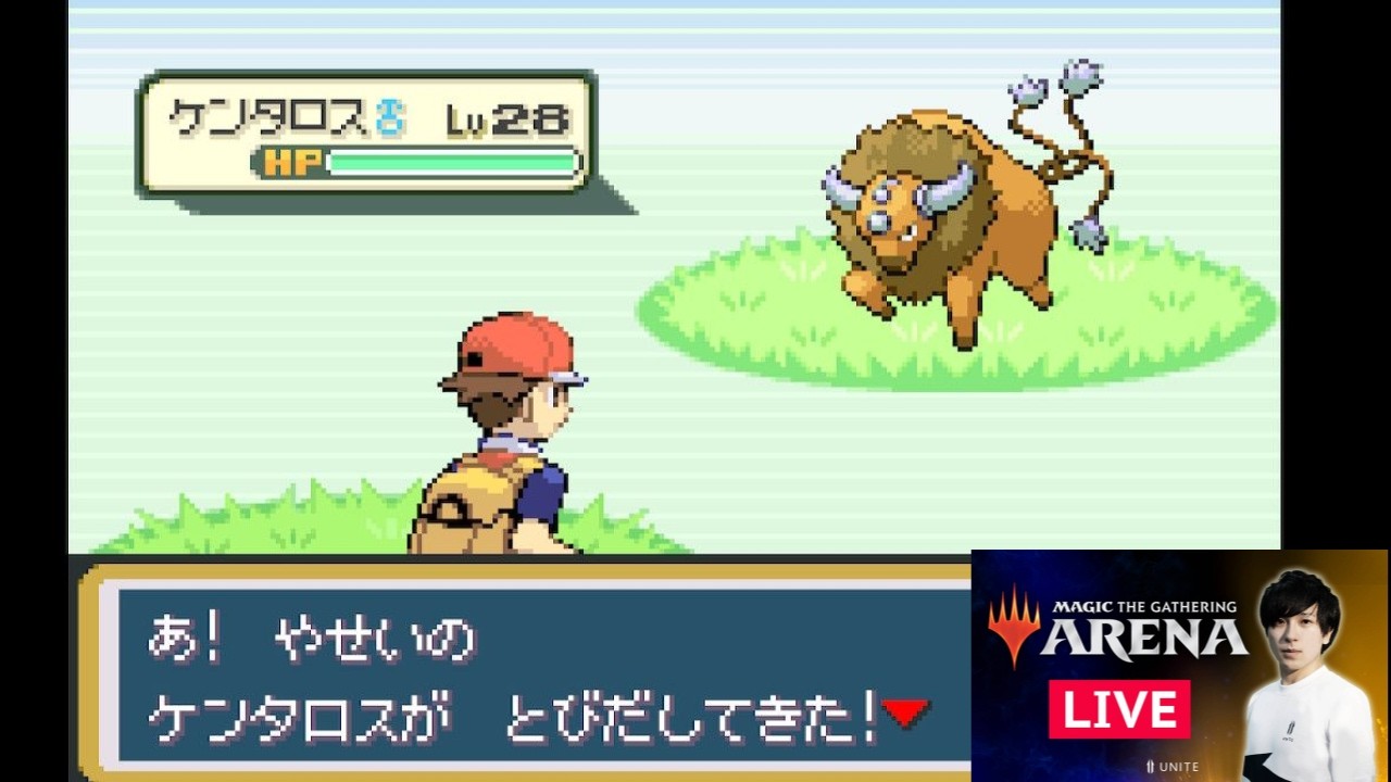 5】ポケモンFR！サファリゾーンでケンタロス捕獲耐久！ - YouTube