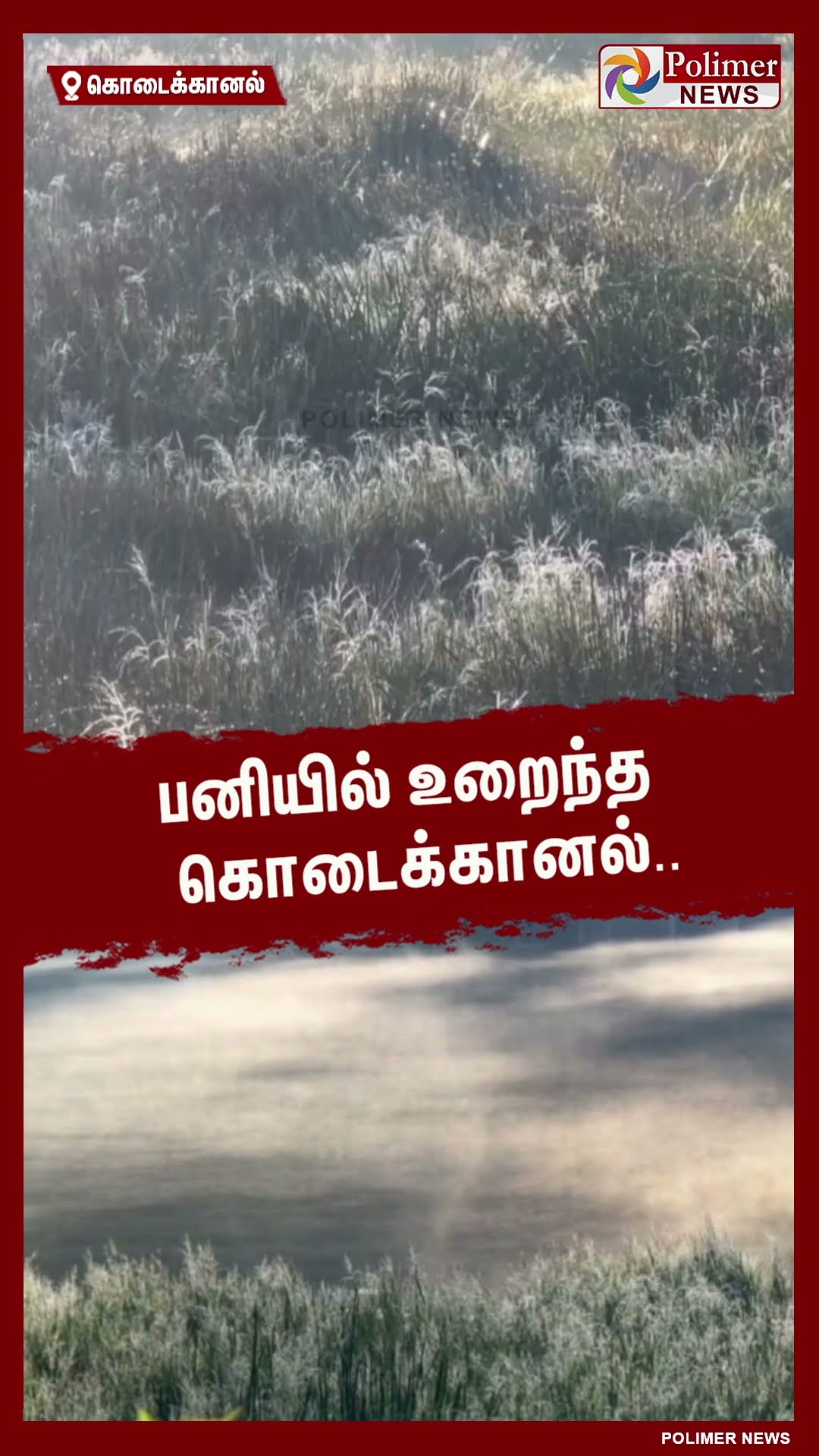 பனியில் உறைந்த கொடைக்கானல்.. #shorts