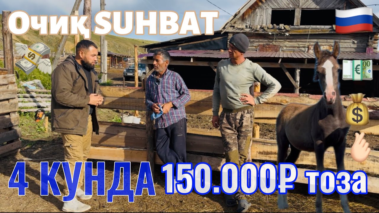 “4 КУНДА 150 МИНГ РУБЛЬ?! 🇷🇺Россияда қурилишда иш тажрибам”#рекомендация #чорвачилик #ферма #куйлик 