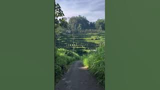 Part 2 Morning Walk near Home