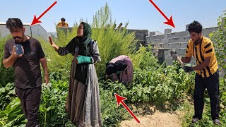 Tragic Return to Old Farm: Mr Hassan Defends Farm Keeper Against His First Wife