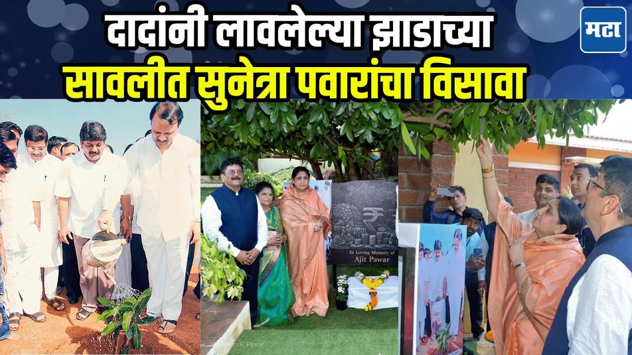 Sunetra Pawar | १७ वर्षापूर्वी लावलेलं झाड, Ajit दादांच्या आठवणी, सुनेत्रा पवारांसाठी भावुक क्षण