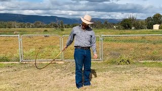 Whip Cracking For Beginners